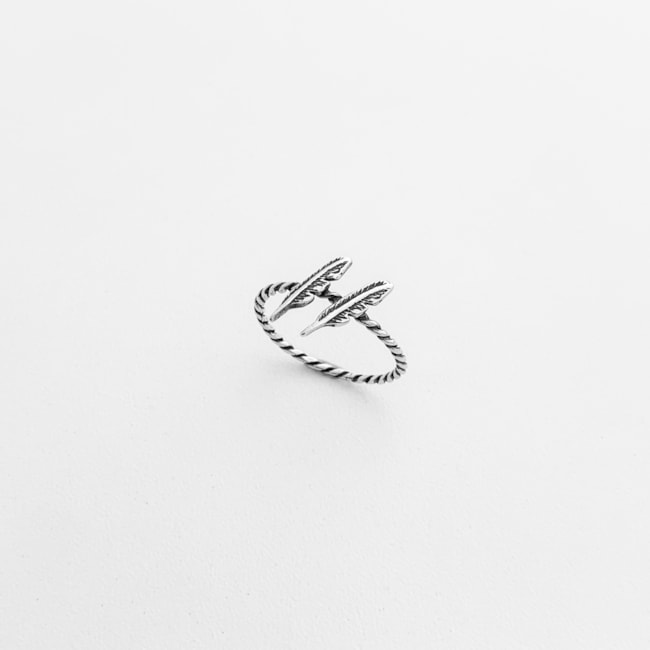 Anel Aro Torcido com Duas Penas Envelhecido 