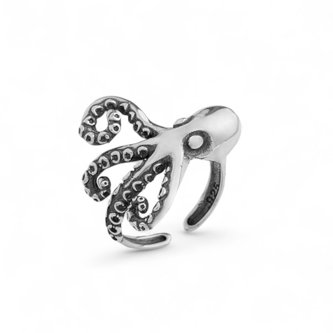 Anel de Polvo Envelhecido Ajustável 