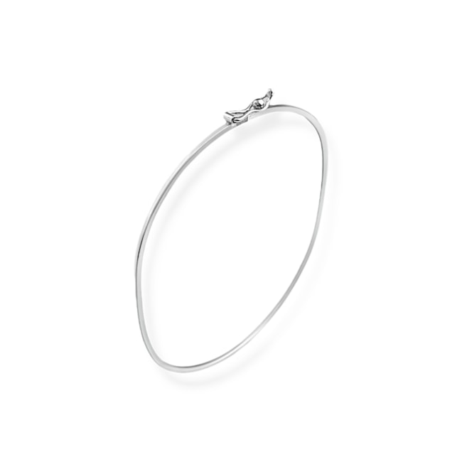 Bracelete Aro Liso com Fecho 