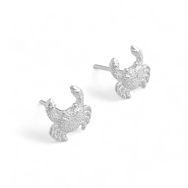 Brinco de Caranguejo