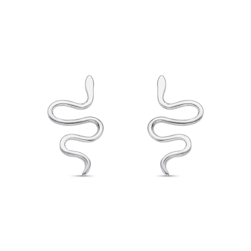 Produto Brinco de Serpente 